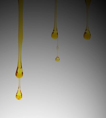 Sweet honey isolated on white backgroundの写真素材