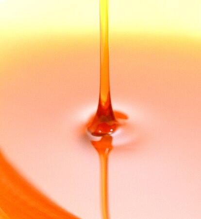 honey dipperの写真素材