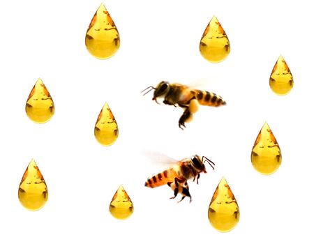 flow of sweet honey on the white background. Isolated.