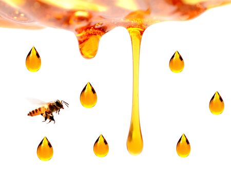 golden honeycombs and wooden drizzler with honey isolated on white
