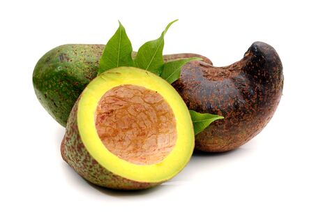 3 avocado cut half seed leaves isolated on white background as package design elementの写真素材