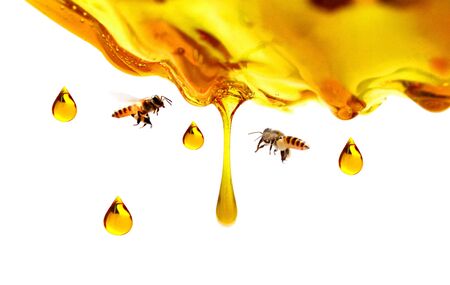 honeycombs in a wooden bucket isolated on a white backgroundの写真素材