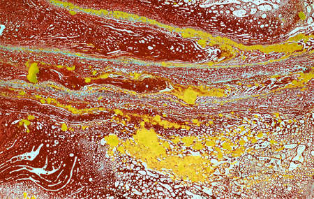 Marbled blue and gold abstract background. Liquid marble pattern.