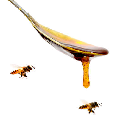 Honeycomb with honey dipper and honey isolated on white background. Fresh, closeup.の写真素材