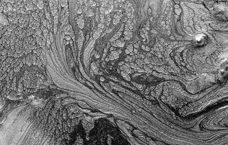 Grunge texture. Abstract monochrome vector.