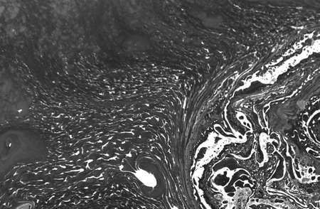 Black and white abstract background. Liquid marble pattern. Monochrome texture.の写真素材