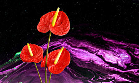 Fleur d'Anthurium rouge