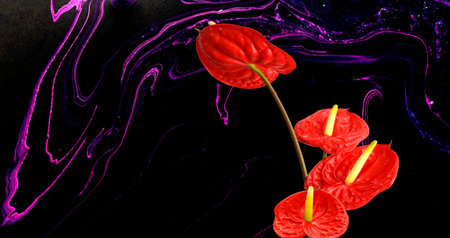Red anthurium flowers with abstract background.