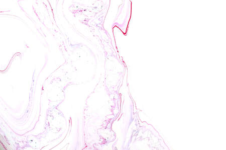 Alcohol ink multicolor texture. Fluid ink abstract background. art for designの写真素材