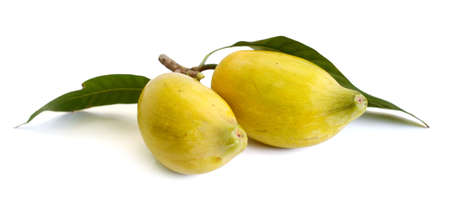 Tiesa fruit isolated