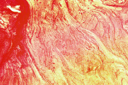 Marbled paint background