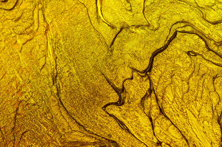 Gold metal background dotted textureの写真素材