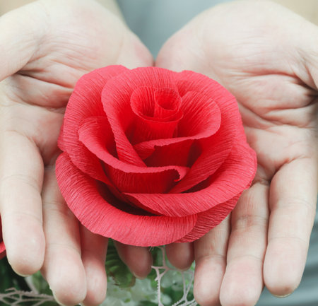 A flower(red rose) on the hands of people for love of coupleの写真素材