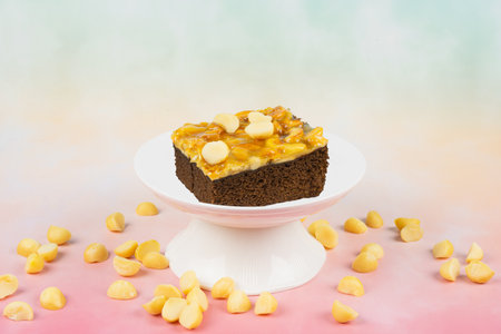 Toffee chocolate cake slice on high plate surrounding nut seeds on colorful background for dessert break. Toffee cake made from bake, dark chocolate, macadamia, nut, caramelの写真素材