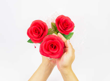 one of three red rose flower in hand with white background, beautiful elegance red roses flower of love inspiration in anniversaryの写真素材