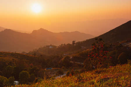 beautiful gold sunlight of sun on sky reflect to grass on peak of mountain, countryside view on peak mountain with gold sunset or sunrise of sun on skyの写真素材