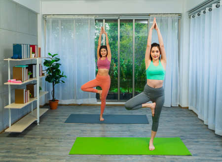 young lgbt women exercise together, raise leg and arms on yoga mat at home, lifestyle of couple lgbt loving women happy and fun in yoga sportsの写真素材