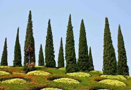Chiang Mai Gardenの写真素材
