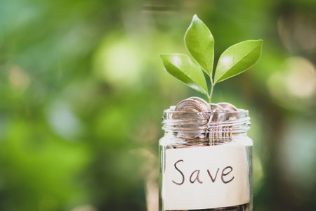 save money for investment concept plant growing out of coins with filter effect retro vintage styleの写真素材