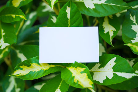 Name card mockup with flower backgroundの写真素材