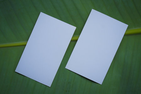 Name card mock up on banana leaf backgroundの写真素材