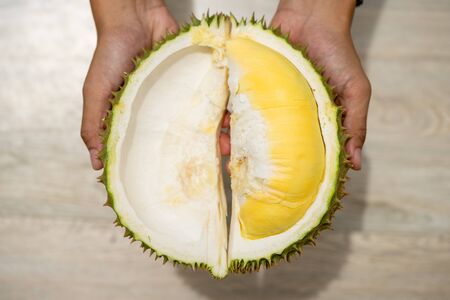Beautiful yellow durian, ready to eat in the hands of consumers.の写真素材
