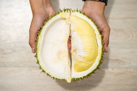 Beautiful yellow durian, ready to eat in the hands of consumers.の写真素材