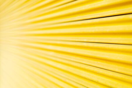 Yellow steel door, beautiful proportions. Can be used as a design background.の写真素材