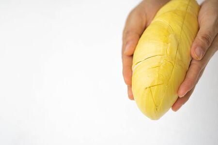 Beautiful yellow durian, ready to eat in the hands of consumers. on the white Background.の写真素材