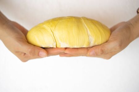 Beautiful yellow durian, ready to eat in the hands of consumers. on the white Background.の写真素材