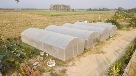 Greenhouses for growing vegetables or organic plants.の写真素材