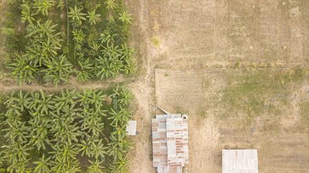 Agricultural land management of aerial photographers.の写真素材