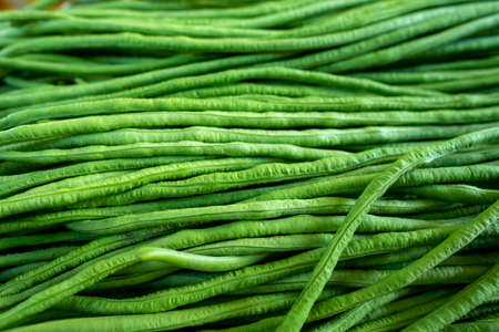 Organic green Yardlong beans in close-up shot.