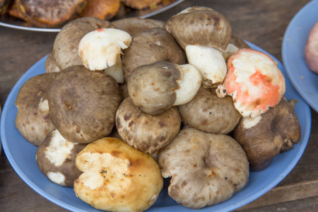 Fresh mushroom in the bowの写真素材