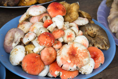 Fresh mushroom in the bowの写真素材