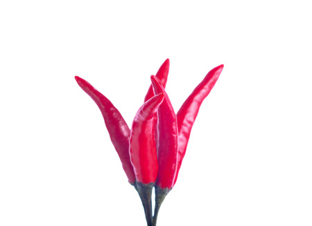 Red peppers isolated  on white backgroundの写真素材