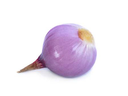 onion isolated on white backgroundの写真素材