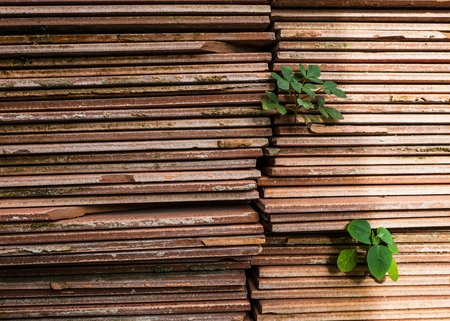 Old tiles stackedの写真素材