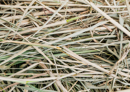 Straw backgroundの写真素材