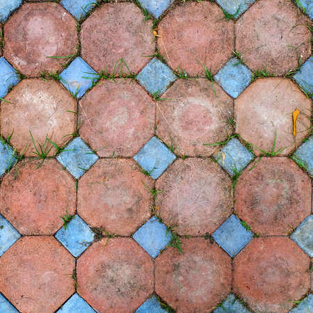 Brick floor patternの写真素材