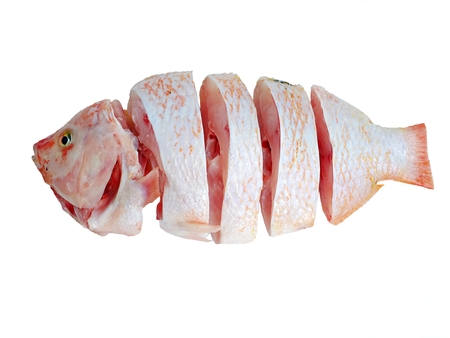 pieces of chopped nile tilapia on a white backgroundの写真素材