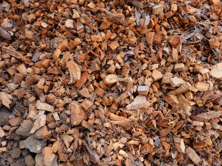 Manure from coconut fiberの写真素材