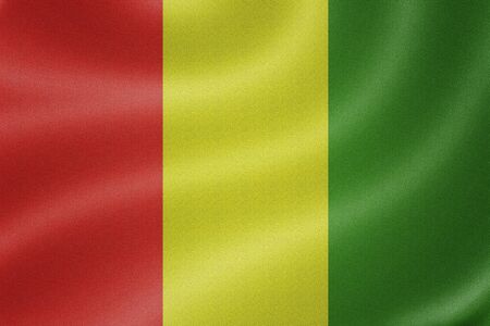 Guinea flag on the fabric texture backgroundの写真素材