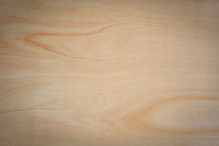 Texture of wood background closeupの写真素材
