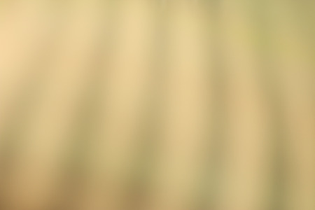 vintage blurred backgroundの写真素材