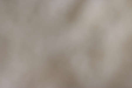 background blurの写真素材