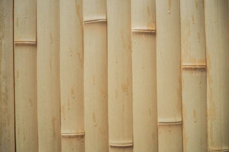 bamboo wall textureの写真素材