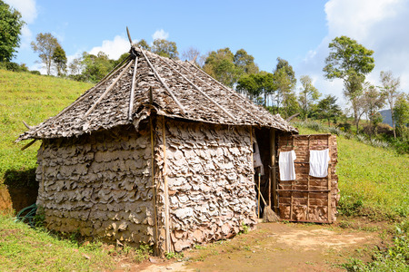 Leaves Hutの写真素材