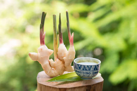 ginger hot teaの写真素材