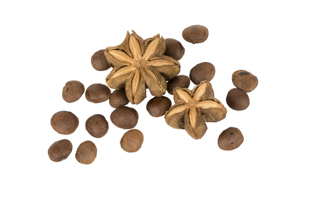 Sacha inchi peanut seed on white backgroundの写真素材